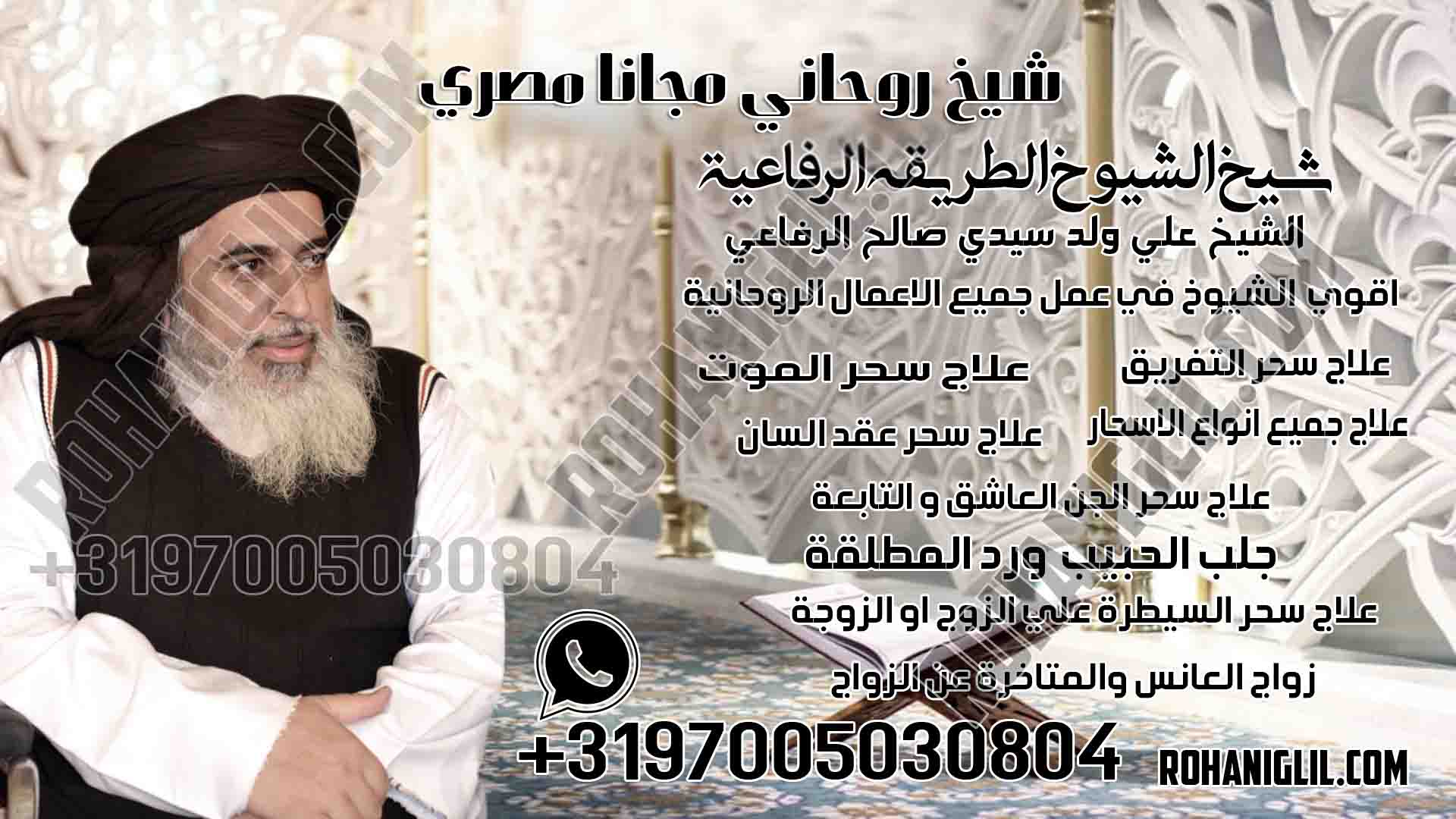 شيخ روحاني مجانا مصري