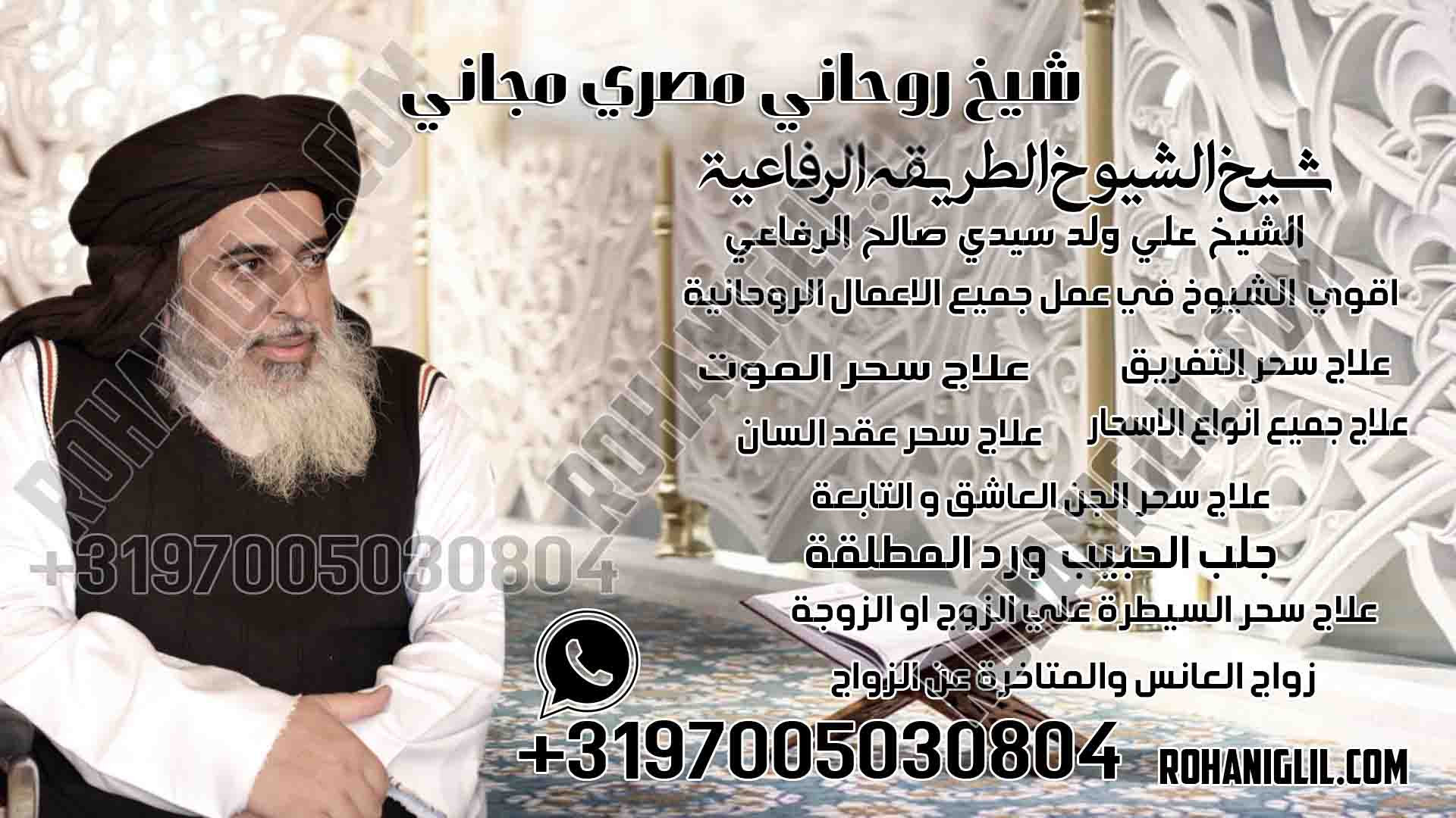 شيخ روحاني مصري مجاني