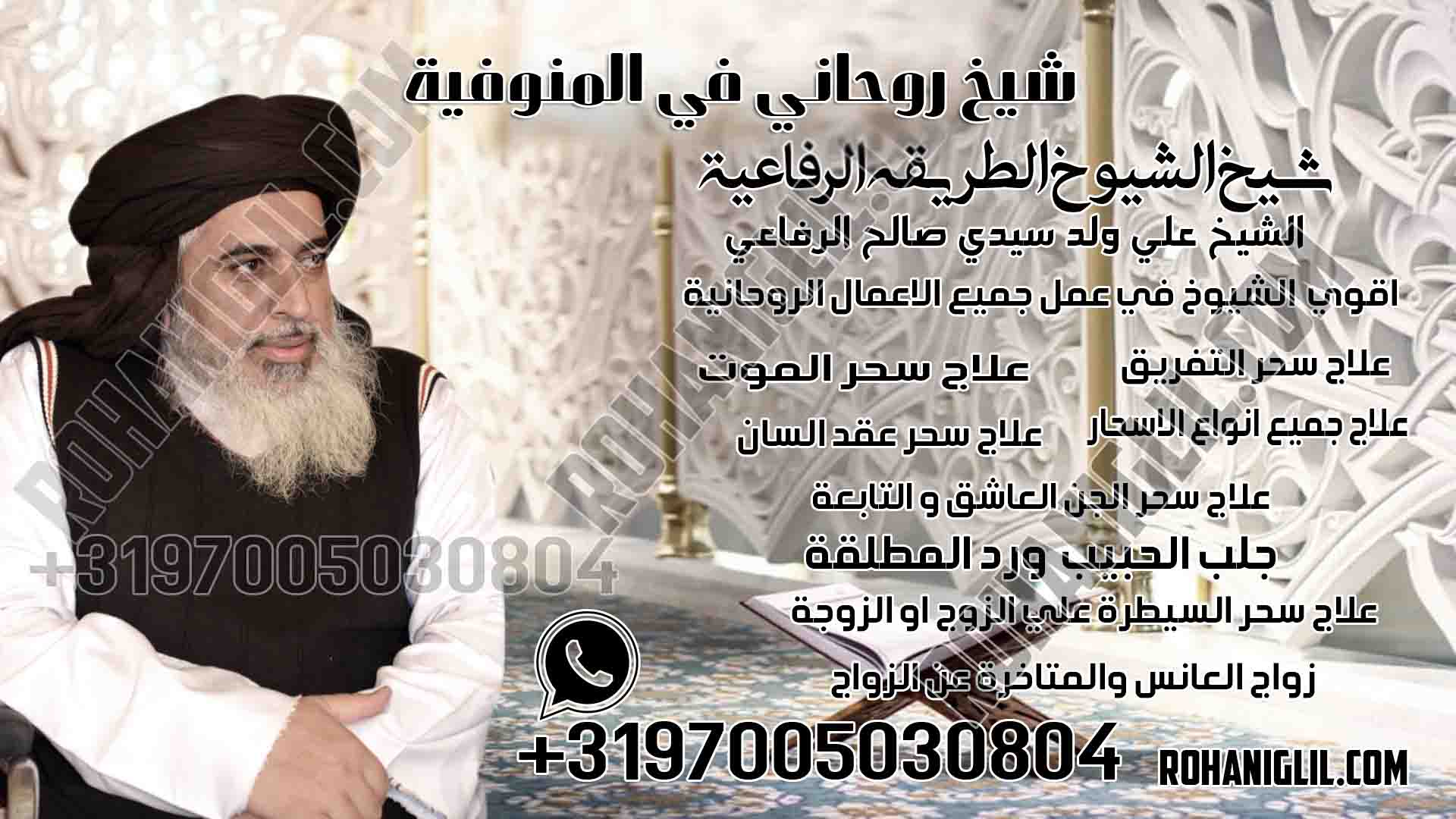 شيخ روحاني في المنوفية