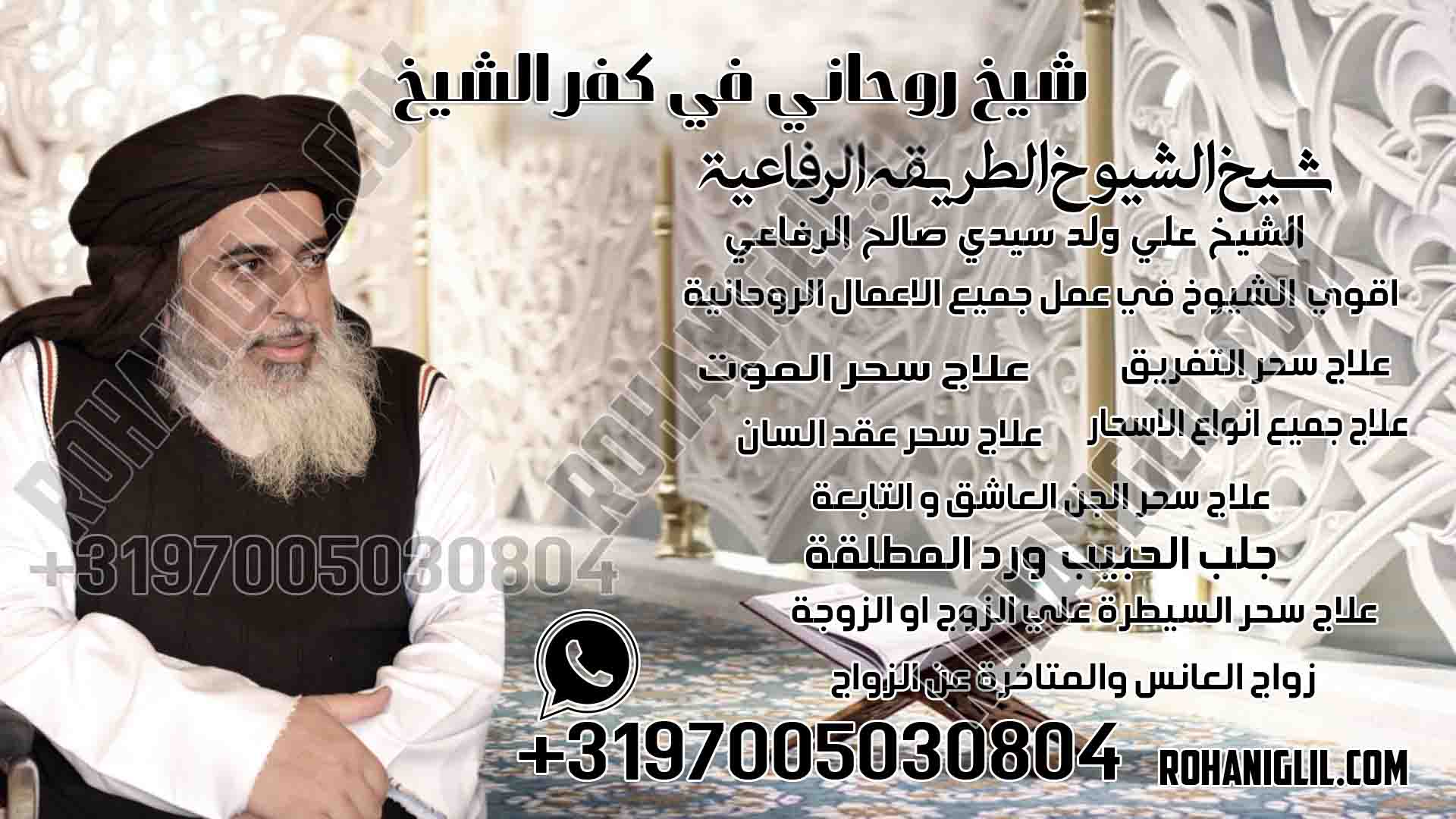 شيخ روحاني في كفر الشيخ